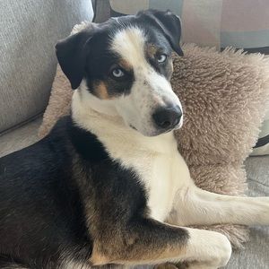 Meet your Posher, Mckaylie